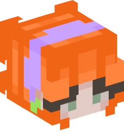 Minecraft head — People