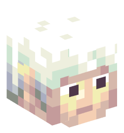 Minecraft head — People