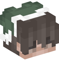 Minecraft head — People