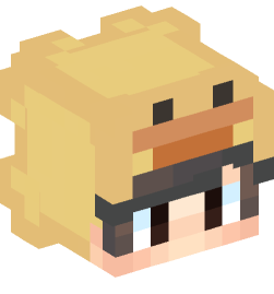 Minecraft head — People