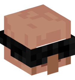 Minecraft head — Creatures
