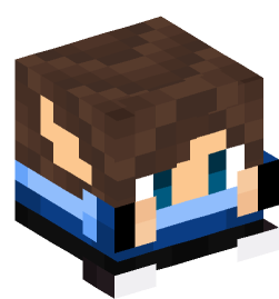 Minecraft head — Decor