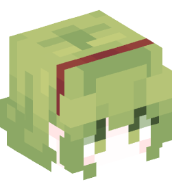 Minecraft head — People