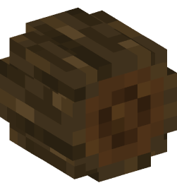 Minecraft head — Blocks