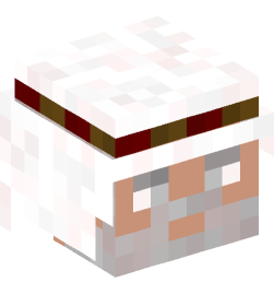 Minecraft head — People