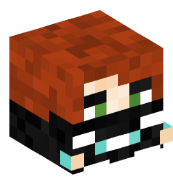 Minecraft head — Decor