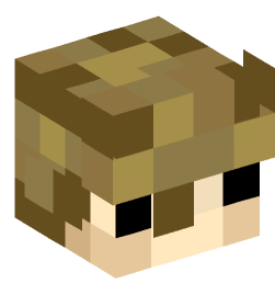 Minecraft head — People