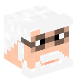 Minecraft head — People