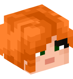 Minecraft head — People