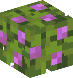 Minecraft head — Plants