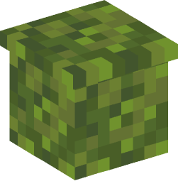 Minecraft head — Plants