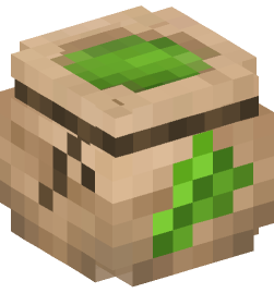 Minecraft head — Decor