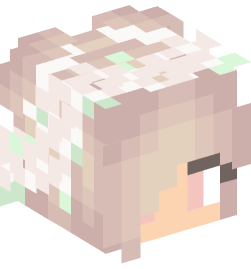 Minecraft head — People