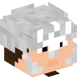 Minecraft head — People