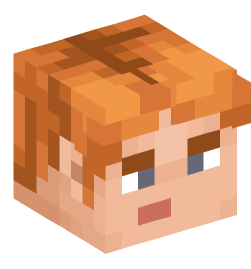 Minecraft head — People