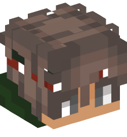 Minecraft head — People