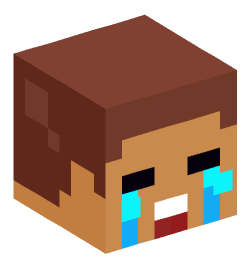 Minecraft head — Miscellaneous