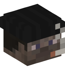 Minecraft head — People