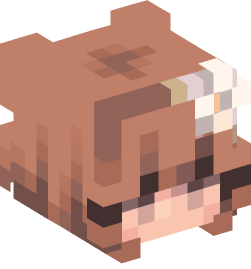 Minecraft head — People