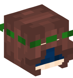 Minecraft head — People