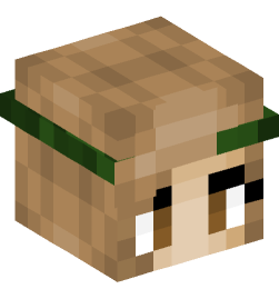 Minecraft head — People