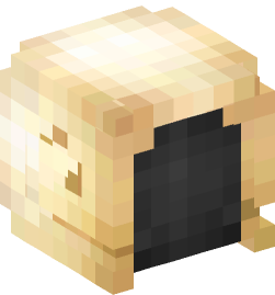 Minecraft head — Decor