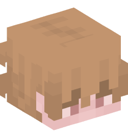 Minecraft head — People