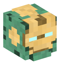 Minecraft head — People