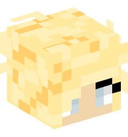 Minecraft head — People