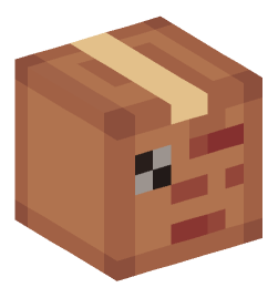 Minecraft head — Decor