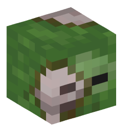 Minecraft head — Creatures