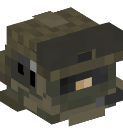 Minecraft head — People