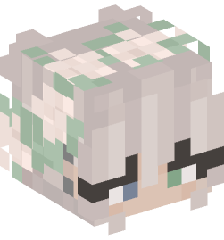 Minecraft head — People