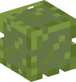 Minecraft head — Blocks