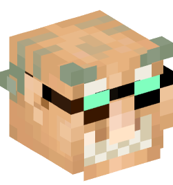 Minecraft head — People