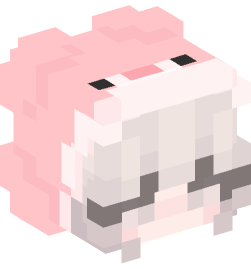 Minecraft head — People