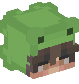 Minecraft head — People