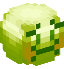 Minecraft head — Miscellaneous