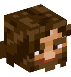 Minecraft head — People