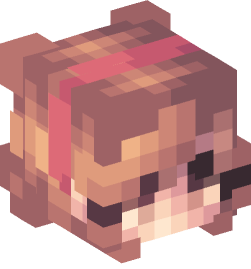 Minecraft head — People