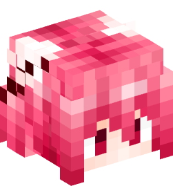 Minecraft head — People