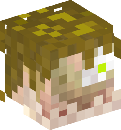 Minecraft head — Creatures