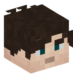 Minecraft head — People