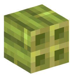 Minecraft head — Blocks