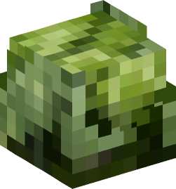 Minecraft head — Plants