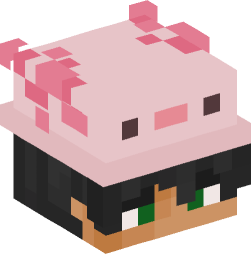 Minecraft head — People