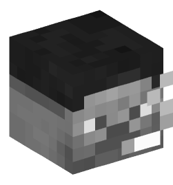 Minecraft head — Decor