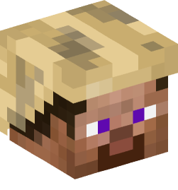 Minecraft head — People