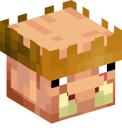 Minecraft head — Creatures