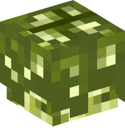 Minecraft head — Plants